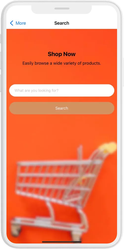 Shopping App search ios